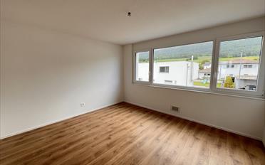 Doppeleinfamilienhaus 5.5 Zimmer - image - 10