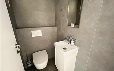 Doppeleinfamilienhaus 5.5 Zimmer - image - 6