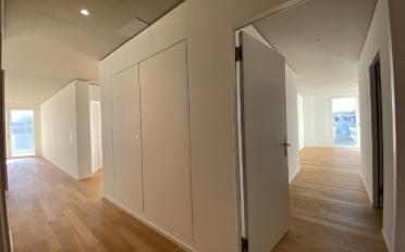 Appartement 5.5 pièces - image - 8