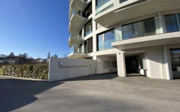 Wohnung 4.5 Zimmer - image - 2