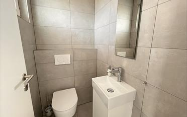 Doppeleinfamilienhaus 5.5 Zimmer - image - 7