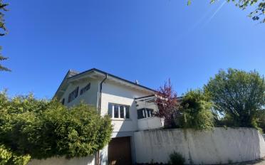 Villa - image - 5