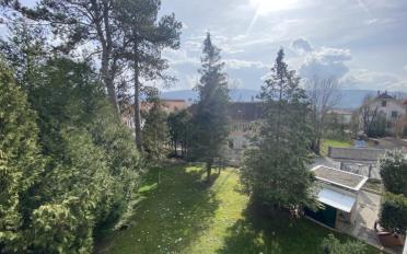 Attikawohnung - image - 10