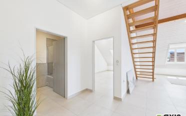 Wohnung 4 Zimmer - image - 3