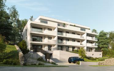 Wohnung 3.5 Zimmer - image - 1