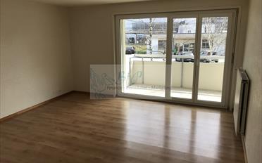 Wohnung 3.5 Zimmer - image - 4