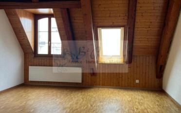 Duplex 5.5 pièces - image - 5