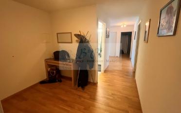 Wohnung 5.5 Zimmer - image - 5