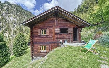 Chalet 3 Zimmer - image - 13