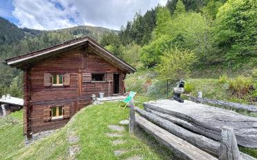Chalet 3 Zimmer - image - 2
