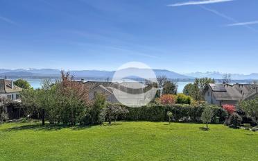 Einfamilienhaus 7.5 Zimmer - image - 12