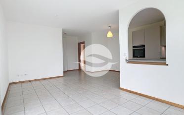 Wohnung 4 Zimmer - image - 5