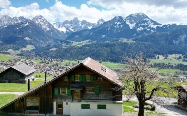 Chalet 9 pièces - image - 2