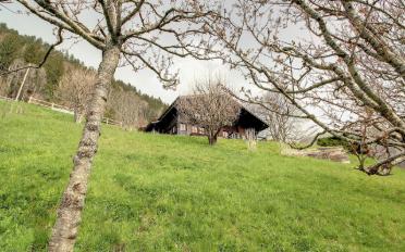 Chalet 5.5 rooms - image - 6