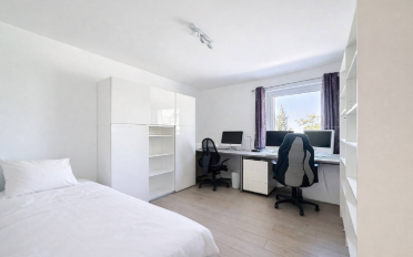 Villa 8.5 Zimmer - image - 11