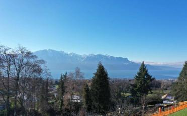 Bauland - image - 3