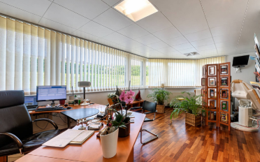 Villa 8 Zimmer - image - 12
