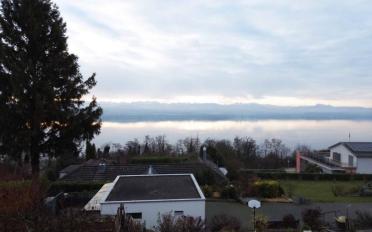 Bauland - image - 5