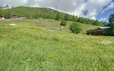 Bauland - image - 4
