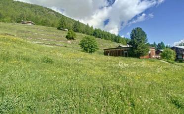 Bauland - image - 5