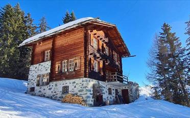 Chalet 8 Zimmer - image - 1