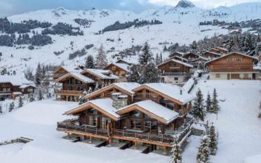 Chalet 7 Zimmer - image - 2