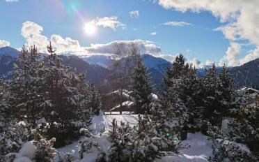 Chalet 5 pièces - image - 1
