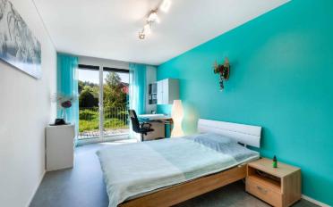 Villa 6.5 Zimmer - image - 7