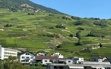 Attikawohnung - image - 6