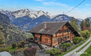 Chalet 14 pièces - image - 1