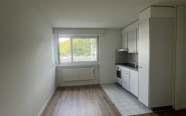 Wohnung 1.5 Zimmer - image - 3