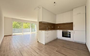 Apartment 3.5 rooms - image - 2