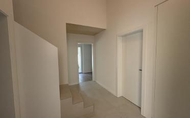 Einfamilienhaus 4.5 Zimmer - image - 3