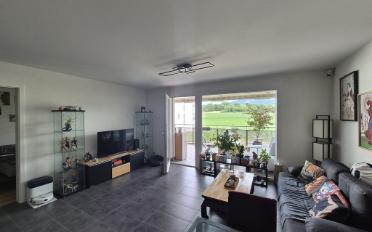 Wohnung 2.5 Zimmer - image - 3