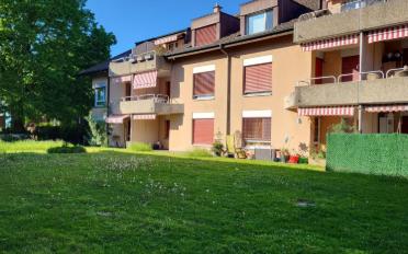 Appartement 3.5 pièces - image - 1