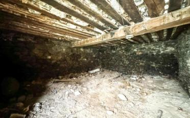 Farm house 4.5 rooms - image - 12