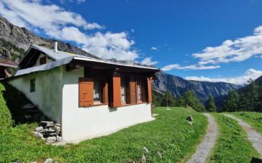 Chalet 3.5 rooms - image - 4