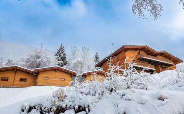 Duplex 3.5 rooms - image - 2