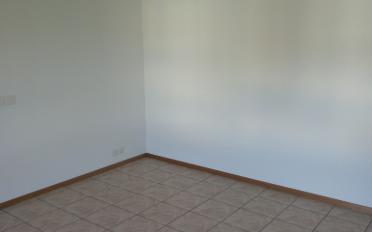 Apartment 2.5 rooms - image - 4
