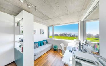 Attic flat 5.5 rooms - image - 6