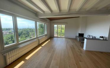 Villa 7.5 Zimmer - image - 10