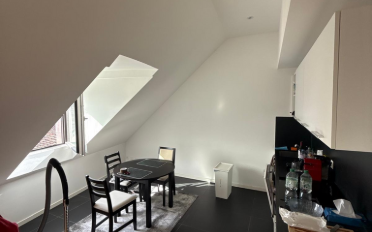 Wohnung 2.5 Zimmer - image - 2