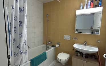 Apartment 2.5 rooms - image - 8