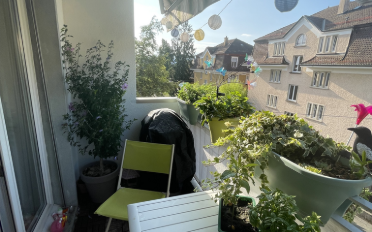 Wohnung 4.5 Zimmer - image - 6