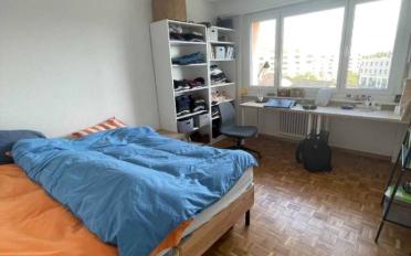 Wohnung 3.5 Zimmer - image - 7