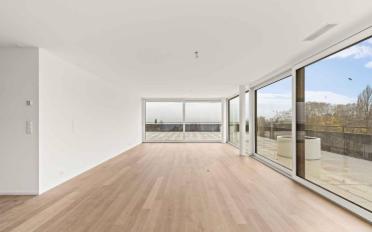 Attic flat 5.5 rooms - image - 7