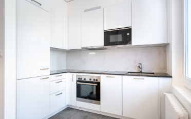 Apartment 1 room - image - 6