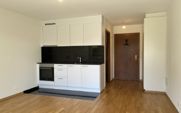 Wohnung ein Zimmer - image - 2