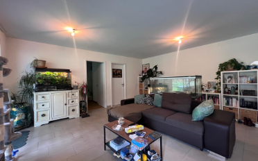 Wohnung 2.5 Zimmer - image - 2