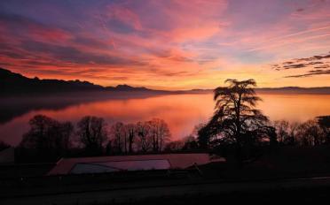 Attikawohnung 2.5 Zimmer - image - 13